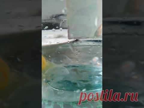 Как  выглядит яйцо после снятия порчи