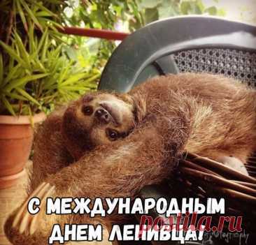 Отдыхать все люди любят,
И день лени догмой станет!
Нынче никого не судят
За валянье на диване!