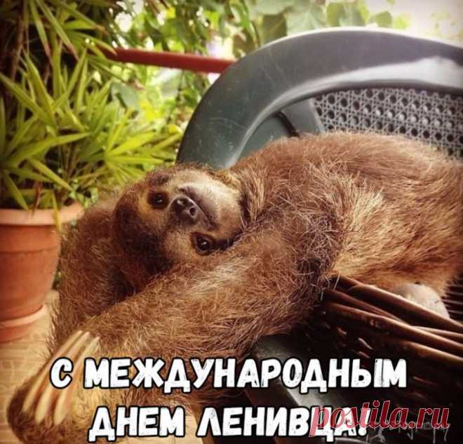 Отдыхать все люди любят,
И день лени догмой станет!
Нынче никого не судят
За валянье на диване!