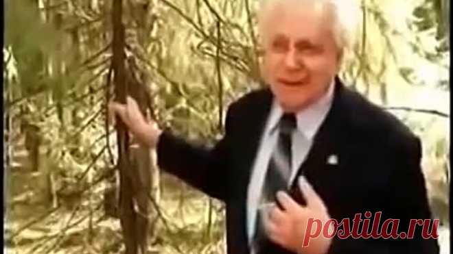 (8) Одноклассники