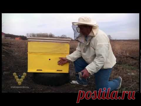 Купить улей в Борисоглебске, многокорпусные ульи для пчел из пенополистирола, продажа