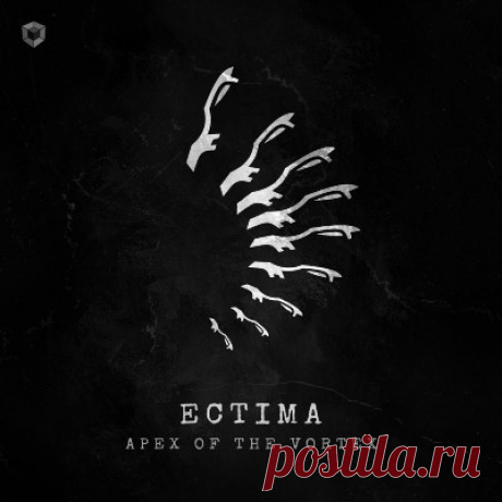 Ectima, Zyce, Flegma - Apex of the Vortex