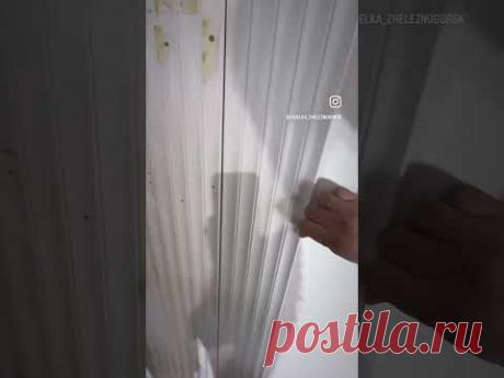 24 ноября 2024 г.