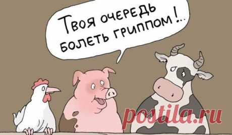 Свинная&quot; афера