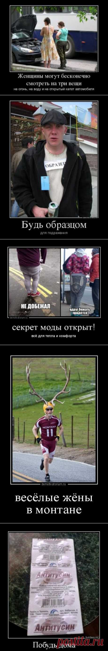 Прикольные демотиваторы (18 фото)