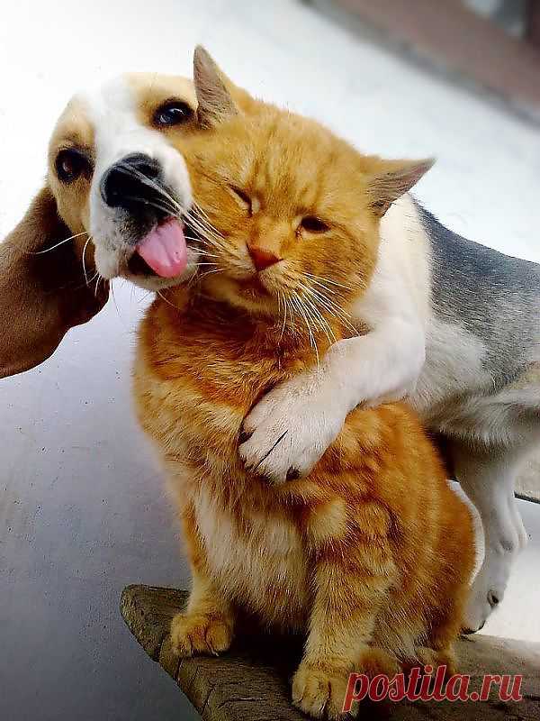 ❁⁀ ♥ ⁀✿ ✫ℒℴνℯ✫ ❁⁀ ♥ ⁀✿