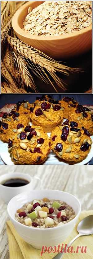 (+1) тема - Что коню в корм, то девушке - в план питания | Диеты со всего света