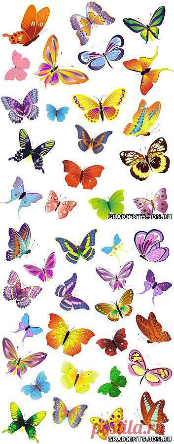 Клипарт - Разноцветные бабочки,  Клипарт - Разноцветные бабочки без регистрации