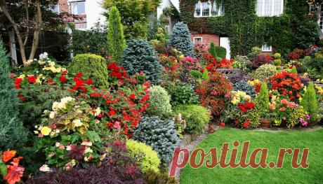 Полив декоративных и цветочных культур, газонов и живых изгородей