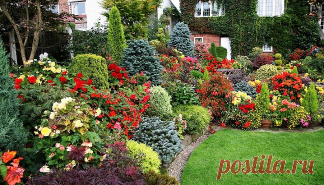 Полив декоративных и цветочных культур, газонов и живых изгородей