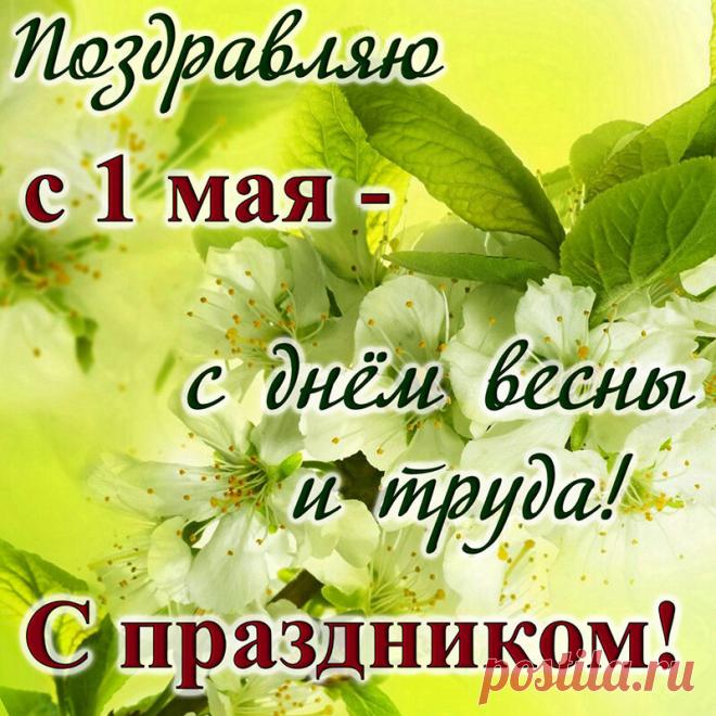 Открытка - Яркая салатовая картинка с поздравлением на праздник Весны и Труда