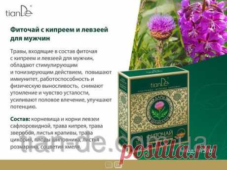 Фиточай с кипреем и левзеей для мужчин купить за 99 грн в Запорожье - TianDe