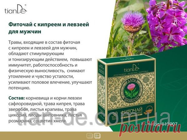 Фиточай с кипреем и левзеей для мужчин купить за 99 грн в Запорожье - TianDe