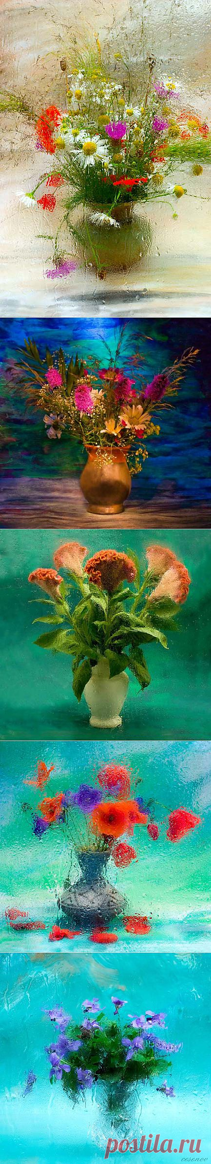 Фотохудожник Василий Чешенов. Цветы
