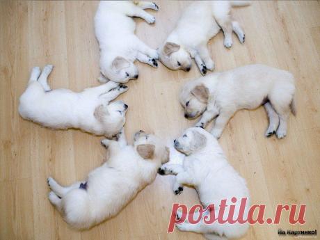 Круговая спячка))