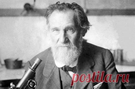 История открытия: как великий ученый Мечников сделал из йогурта лекарство | Правильное питание | Здоровье | Аргументы и Факты