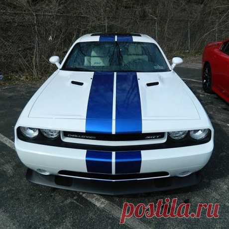 Dodge Challenger SRT 392 / Только машины