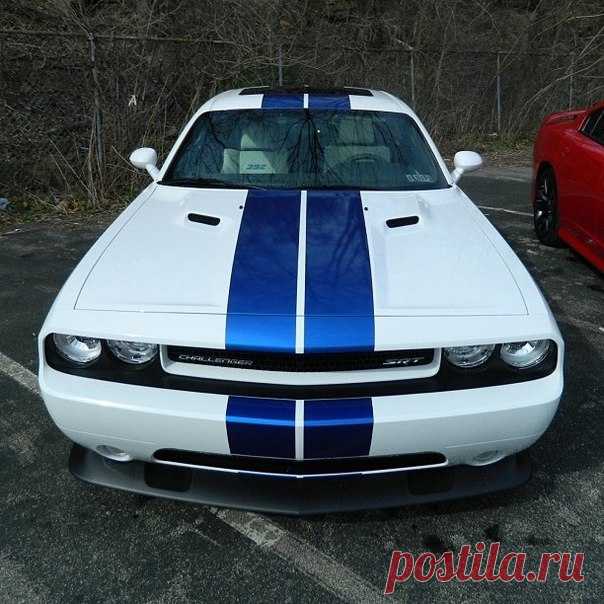 Dodge Challenger SRT 392 / Только машины