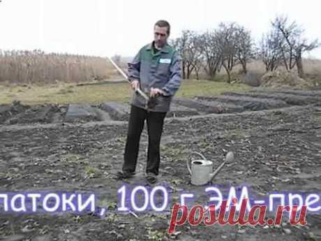 Как использовать препарат Байкал ЭМ 1 для борьбы с сорняками