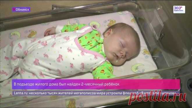 В Обнинске подъездная кошка несколько часов грела младенца-подкидыша