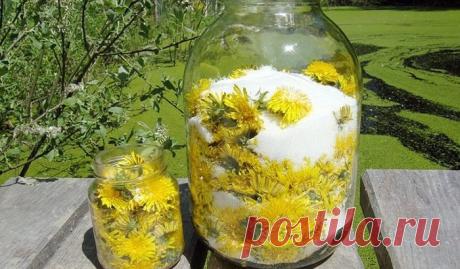 Универсальное лекарство — простой одуванчик.
Лечение корнями одуванчика
Из корней одуванчика можно приготовить полезный настой, который является эффективным кровоочистительным, тонизирующим и потогонным средством.Поскольку корни этого растения …