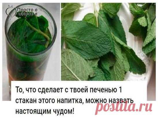 Просто о здоровье. Печень , снижение холестирина.