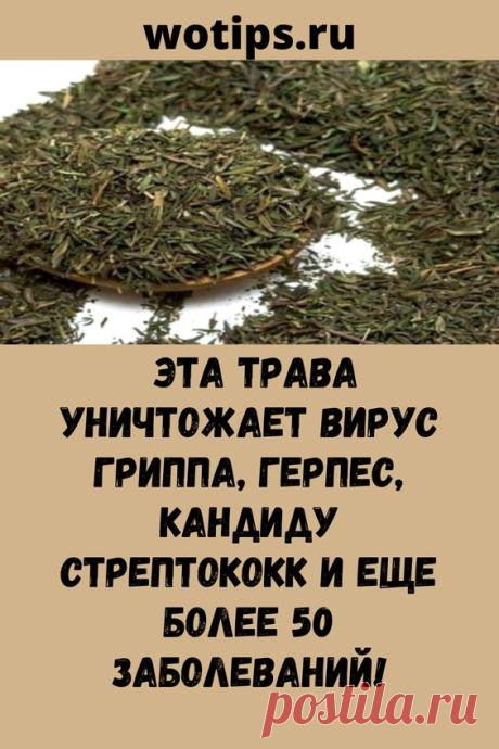 Эта трава уничтожает вирус гриппа, герпес, кандиду стрептококк и еще более 50 заболеваний!