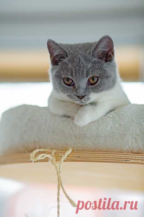 My Baby by Katrin Gerchel / 500px