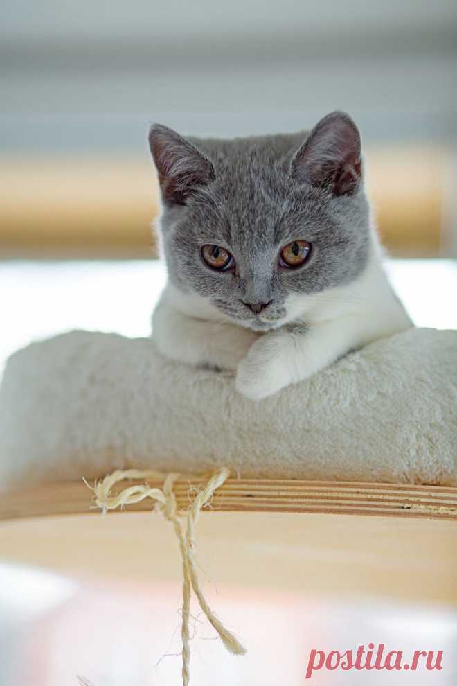 My Baby by Katrin Gerchel / 500px