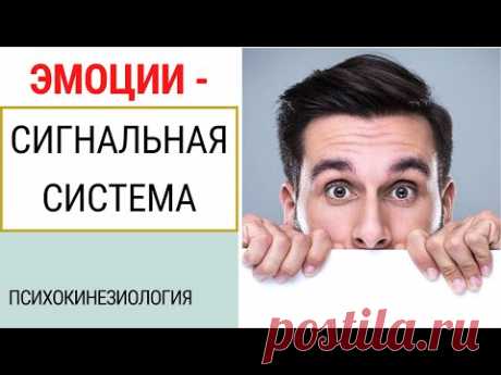 ЭМОЦИИ. САМОДИАГНОСТИКА. ПСИХОСОМАТИКА. ПСИХОКИНЕЗИОЛОГИЯ. ПРИКЛАДНАЯ КИНЕЗИОЛОГИЯ.