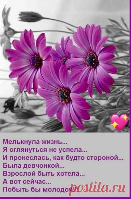 (1) Facebook