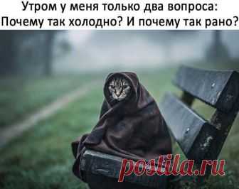 - Дорогая, почему ты не отвечаешь на мои звонки? — Чего сидеть-то просто так, давай что ли, винца выпьем. — Ну купи. — Ну, нет так нет. В еврейской семье скандал: сын купил пакет на кассе. Пожилая пациентка пришла на проверку к гинекологу. После обследованияона поворачивается, смотрит врачу в глаза и говорит:- Доктор, скажите честно, ваша мать...