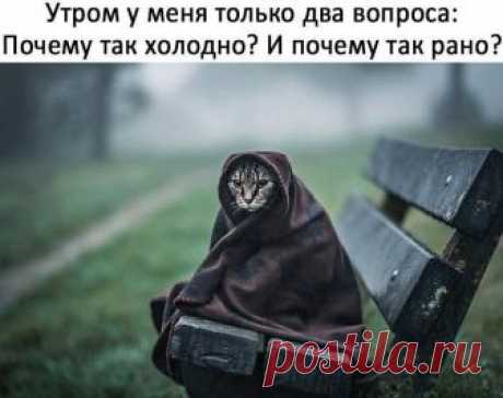 - Дорогая, почему ты не отвечаешь на мои звонки? — Чего сидеть-то просто так, давай что ли, винца выпьем. — Ну купи. — Ну, нет так нет. В еврейской семье скандал: сын купил пакет на кассе. Пожилая пациентка пришла на проверку к гинекологу. После обследованияона поворачивается, смотрит врачу в глаза и говорит:- Доктор, скажите честно, ваша мать...