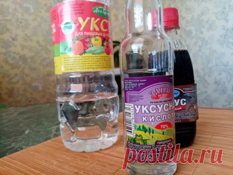Этот кухонный ингредиент избавит ваш огород от вредителей за сутки: проверьте сами. Обычный столовый уксус отпугнет насекомых, а заодно удалит следы плесени.
