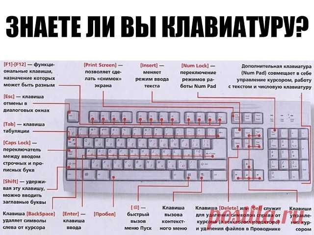 (42) Одноклассники