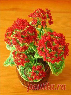 Герань из бисера. Мастер класс здесь http://labhousehold.com/ru-герань-из-бисера.html