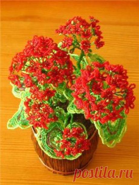 Герань из бисера. Мастер класс здесь https://labhousehold.com/ru-герань-из-бисера.html