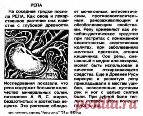 Репа лечит