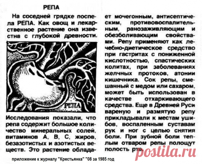 Репа лечит