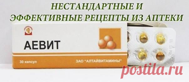 Елена Соколовская