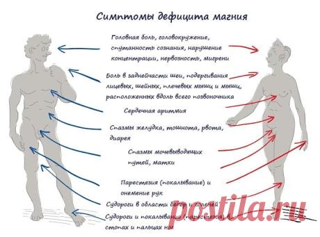 Домашний магниевый коктейль: избавляет от тревожности за 1 неделю!