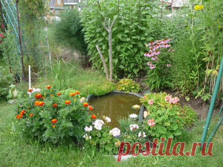 Казахстанский ДАЧНИК - ЦВЕТОВОД
Галина Иванова (Прудникова)