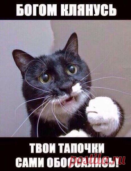 Владислав Фомин – Google+