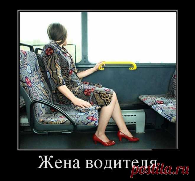 Демотиваторы - приколы