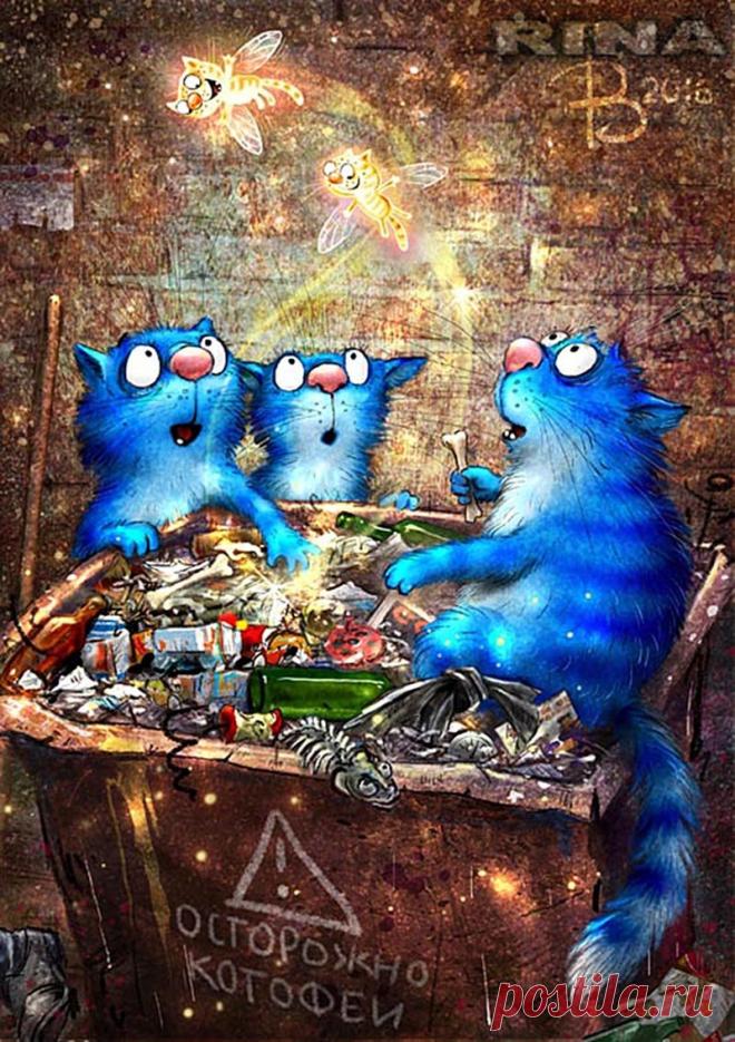 Синие коты - 61 фото - картинки: смотреть онлайн