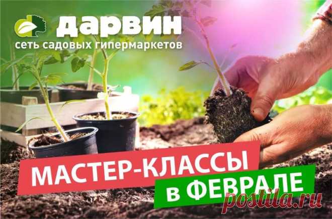 Мастер классы на февраль Интернет-магазин