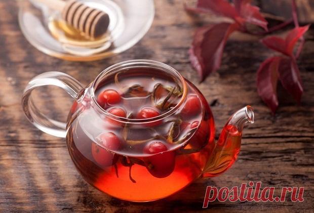 Победит цирроз печени и выведет желчь одним махом! — ХОЗЯЮШКА24