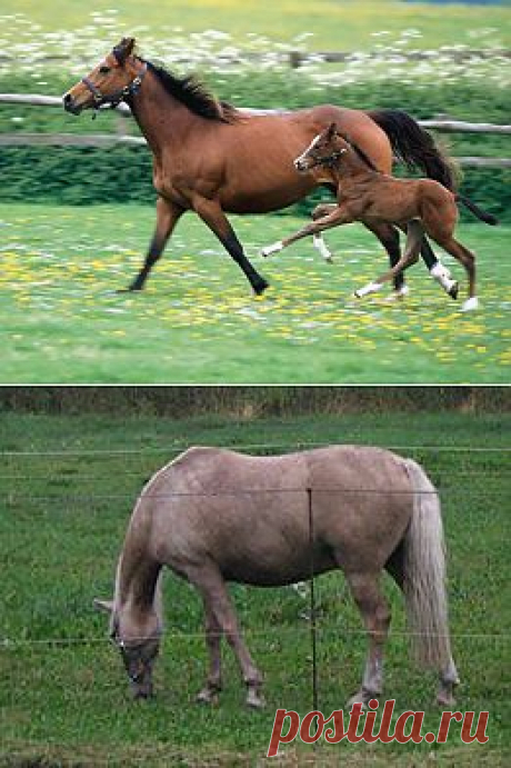 Живая Земля - Фотографии Хроники