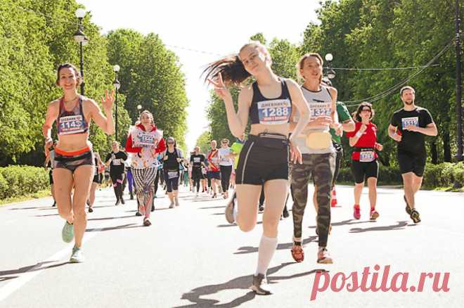 Забег как праздник. Петербург представил на ВДНХ сезон летних видов спорта. Готовь сани летом, а телегу зимой. 28 и 29 ноября в рамках Спортивной недели на Международной выставке-форуме "Россия" Северная столица посвятила свою экспозицию летним видам спорта.