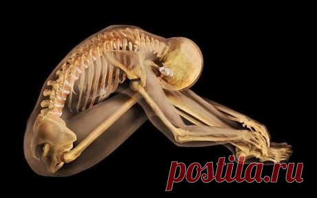 16 способов обмануть свое тело (сохраняем себе)

1. Если у вас сильно першит горло
Помассируйте мочку вашего уха. Это активирует ушные рецепторы и рефлекторно вызовет спазм в горле, который облегчит першение.

2. Если вам трудно расслышать бормотание собеседника
Поверните к нему правое ухо, так как оно лучше слышит быструю невнятную речь. А тихую мелодию поможет лучше расслышать левое ухо, так как оно более чутко улавливает музыкальные переливы.

3. Если у вас затекла рука...